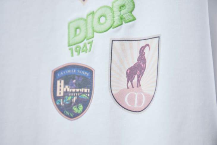 Dior T Shirts Short _SKUDiorS-XLhgntx7215748